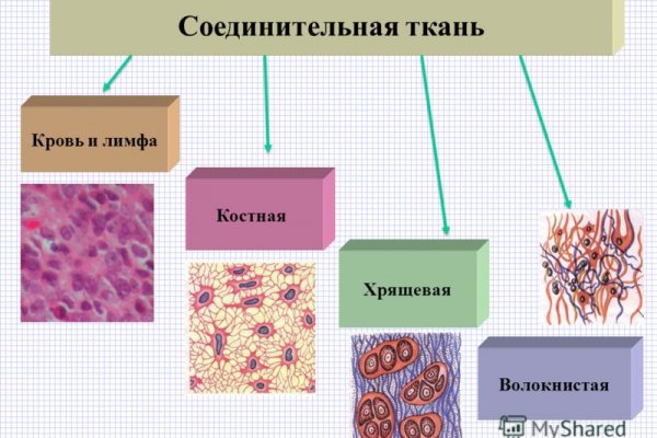 Кракен новое зеркало