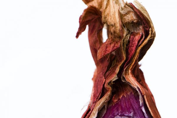 Кракен даркнет маркет