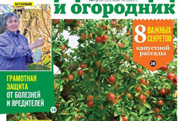 Кракен зеркало 2025